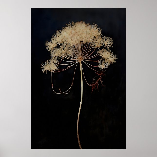 Poster Flor de Queen's Lace Seca Dark Academia, Escuro (Frente)