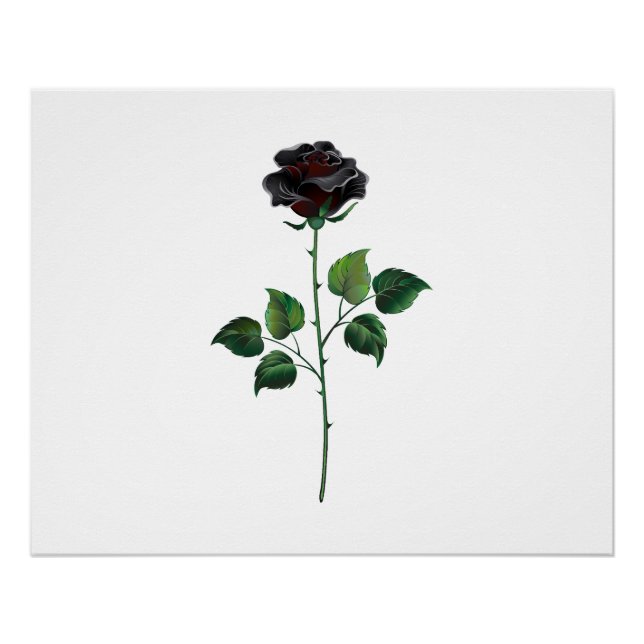 Pôster Flor de rosa preta (Frente)