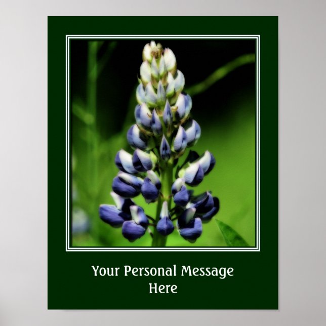 Poster Flor de Tremoço Azul Selvagem Personalizado (Frente)