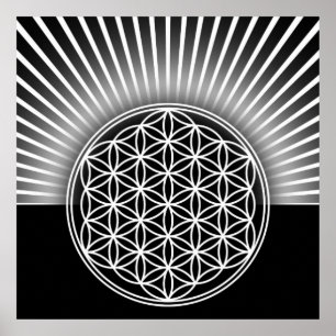 Pôster Flor de vida / Blume des Lebens - branco plano