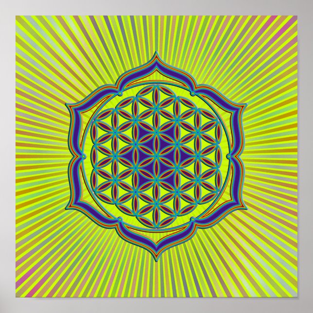 Poster Flor De Vida / Blume des Lebens - Lotus Contour (Frente)