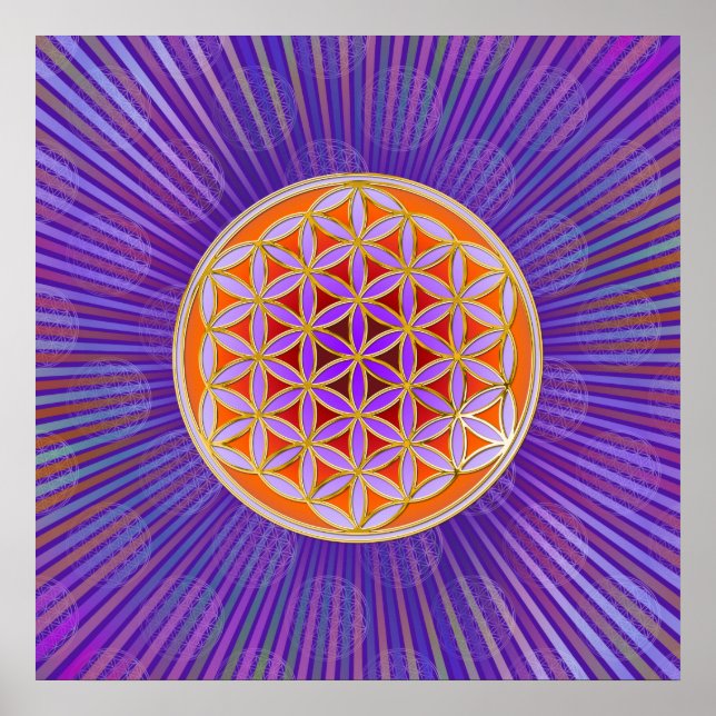 Poster Flor De Vida - Estilo De Botão Violeta Laranja (Frente)