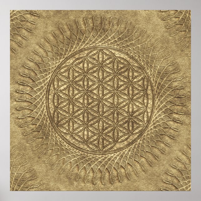 Poster Flor de Vivo - Sol - padrão sem soldadura 4 (Frente)