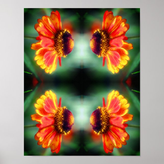 Poster Flor de Zínia Abstrata Sonhadora  (Frente)