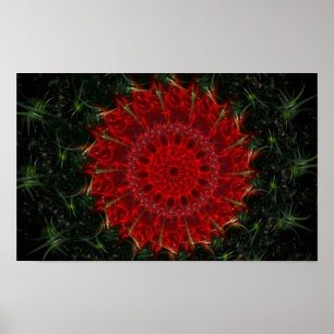 Poster Flor do deserto