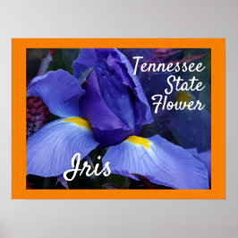 Poster Flor do Estado do Tennessee TN Iris
