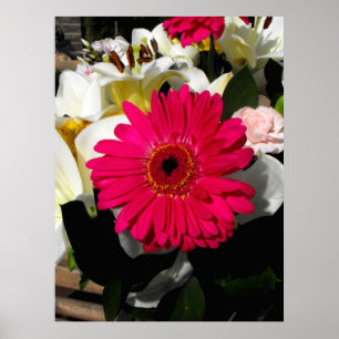 Pôster Flor do Gerbera em um grupo de flores
