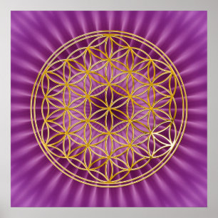 Poster Flor do ouro da vida , brilho magenta