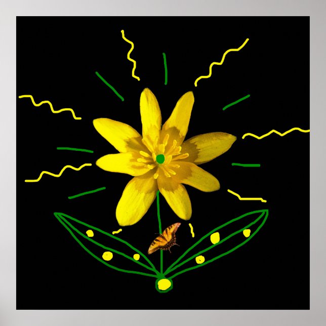 Poster Flor e Borboleta (Frente)