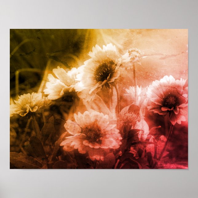 Poster Flor Em Aberto, Abstrato (Frente)