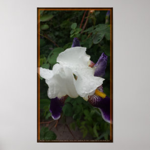 Poster Flor épico 1