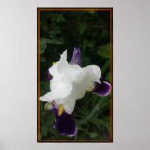 Poster Flor épico 2