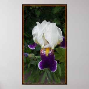 Poster Flor épico 3