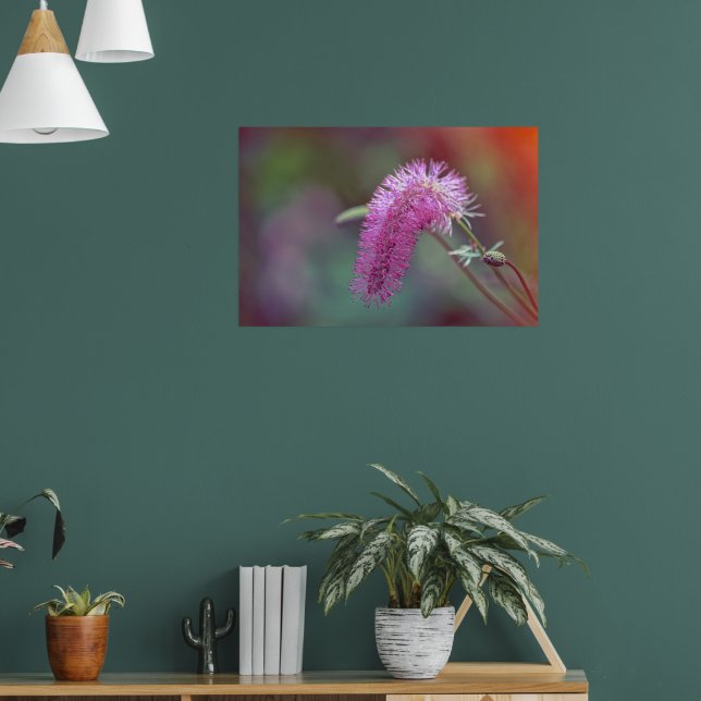 Poster Flor hermosa de prado (Sala de Estar 1)