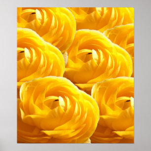 Poster Flor-Impressões mim