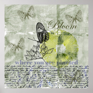 Pôster Flor inspirada da borboleta