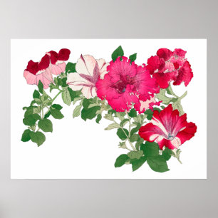 Poster Flor Mallow, antiga arte japonesa