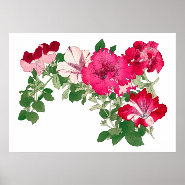 Poster Flor Mallow, antiga arte japonesa (Frente)