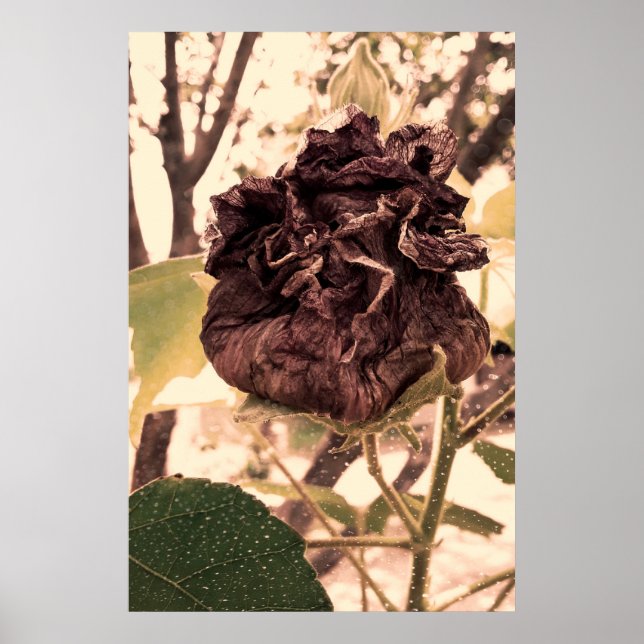 Poster flor mortal (Frente)