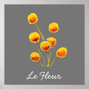Poster Flor nativa australiana Yellow Billy Button