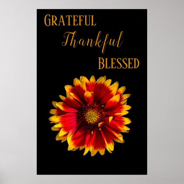 Poster Flor no Bloom (Frente)