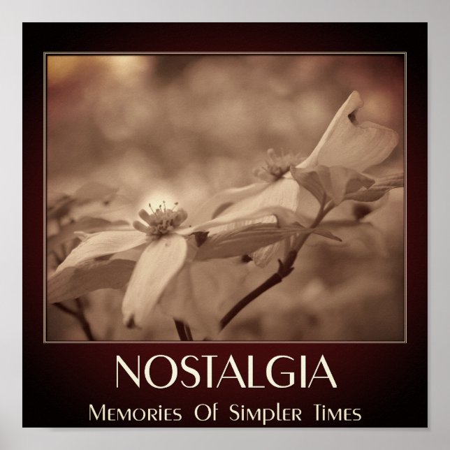 Poster Flor Nostalgia Sepia Dogwood (Frente)
