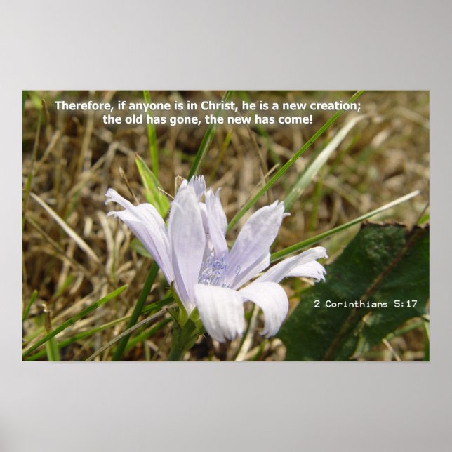 Poster Flor - Nova Criação (Frente)