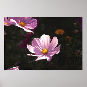 POSTER FLOR PETALIZADO DE ROLO