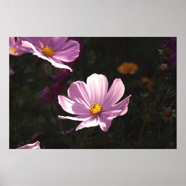POSTER FLOR PETALIZADO DE ROLO (Frente)