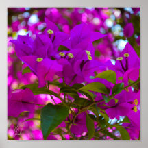 Flor Rosa Assinado - #1