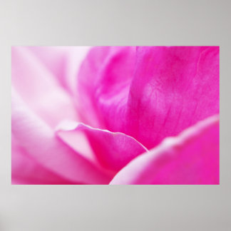Poster Flor rosa quente abstrato