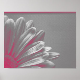 Pôster Flor Rosa Realçada