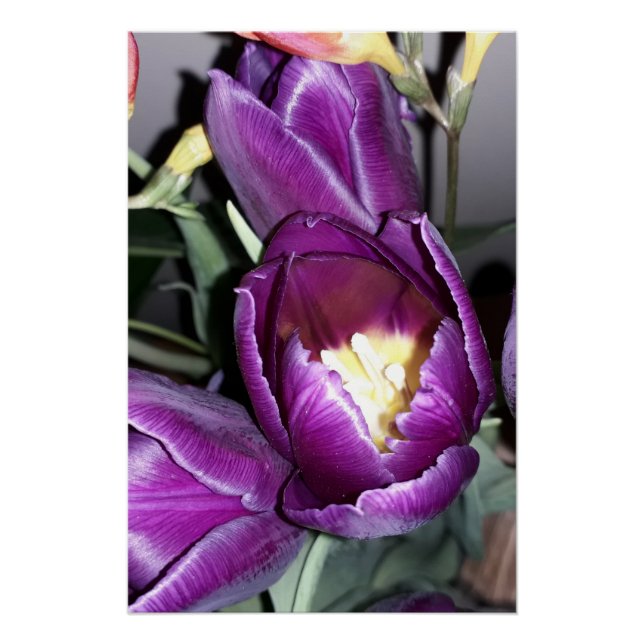 Pôster Flor roxa (Frente)