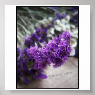 Poster Flor roxa