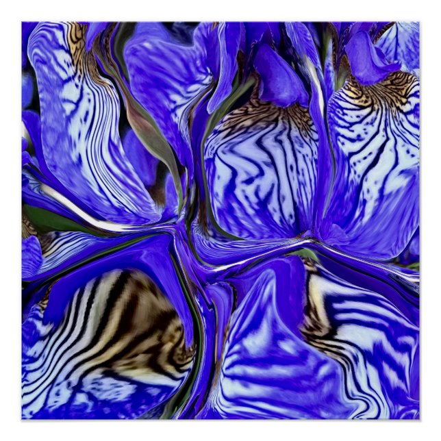 Pôster Flor Roxo-Íris (Frente)