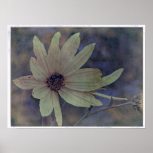 Poster Flor selvagem e abelha