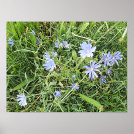 Poster Flor silvestre
