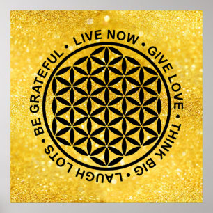 Poster Flor Símbolo Da Vida - Regras Da Vida 1