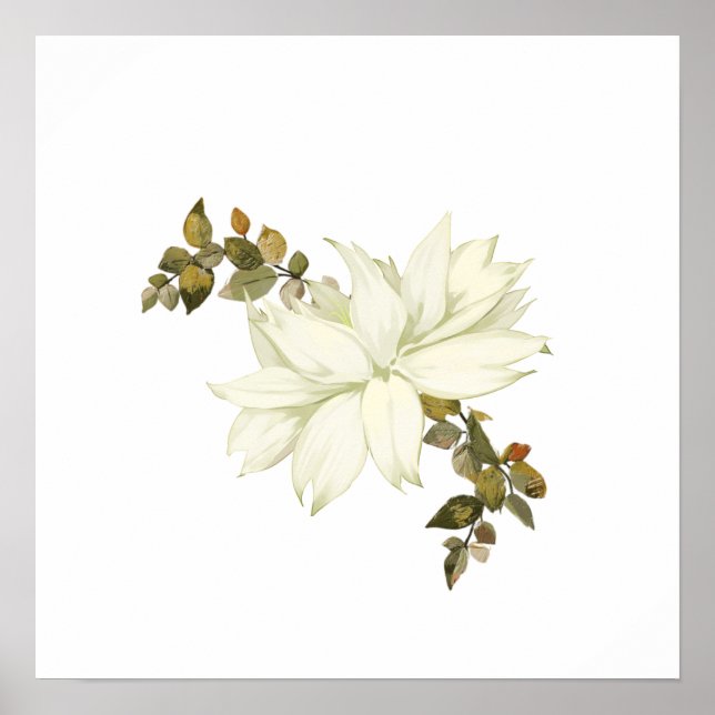 Poster Flor Simples Branca e Folhagem (Frente)