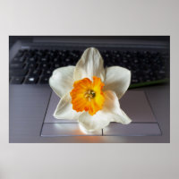Flor sobre o teclado