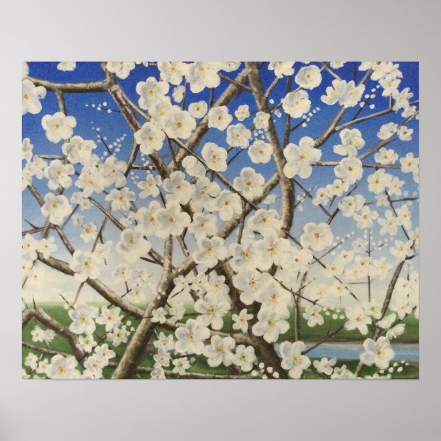 Poster Flor Springtime Blackthorn Sloe (Frente)