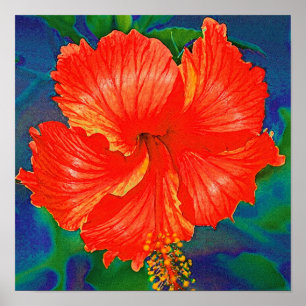 Pôster Flor vermelha do hibiscus