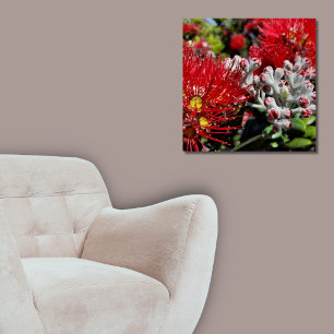 Pôster Flor Vermelho de Árvore Pohutukawa, Nova Zelândia