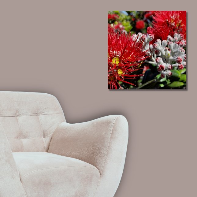 Pôster Flor Vermelho de Árvore Pohutukawa, Nova Zelândia (New Zealand Pohutukawa Tree Red Blossom Poster, Living Room)
