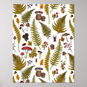 Poster Flora e fauna florestais 2