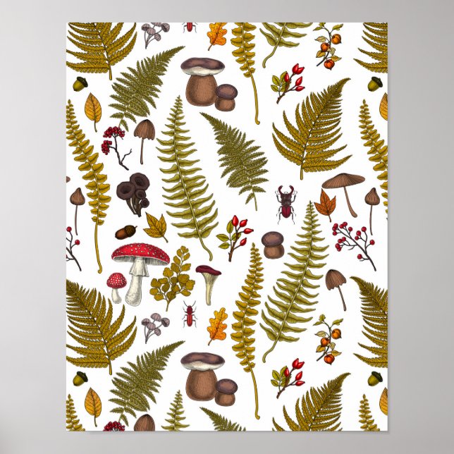 Poster Flora e fauna florestais 2 (Frente)