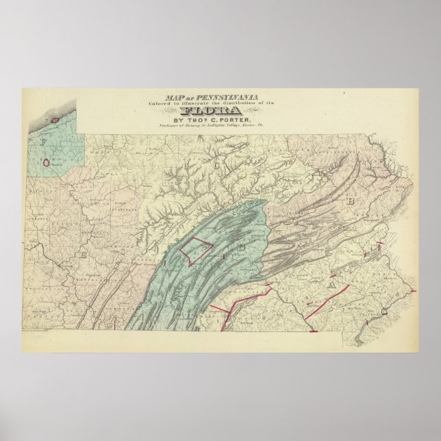 Pôster Flora penn (Frente)