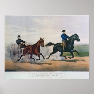 Pôster Flora Temple e "Lancet