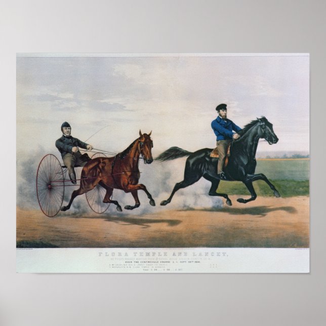 Pôster Flora Temple e Lancet (Frente)