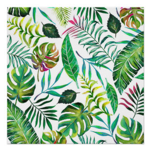 Pôster Flora Tropical